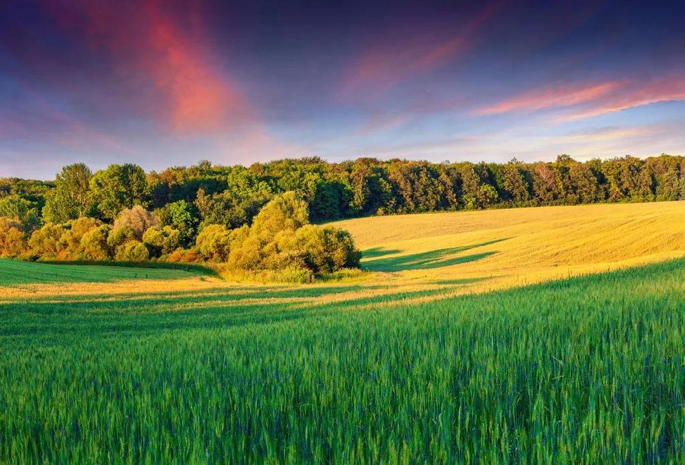 利用物聯網技術提升環境監測