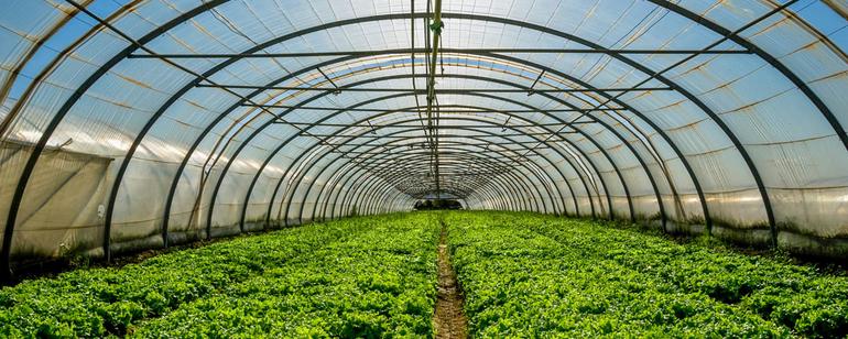 二氧化碳濃度變化對農業大棚作物種植有哪些影響